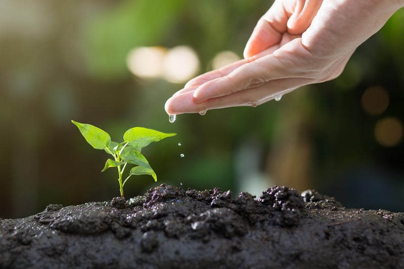 Gardening Forum Image