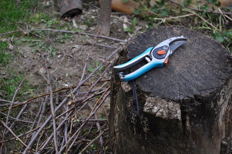 Pruning Shears Image